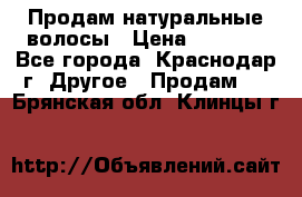 Продам натуральные волосы › Цена ­ 3 000 - Все города, Краснодар г. Другое » Продам   . Брянская обл.,Клинцы г.